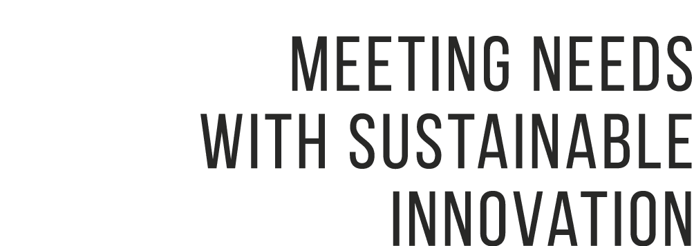 Meeting needs with sustainable innovation