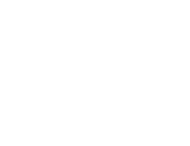 12V up to 110W