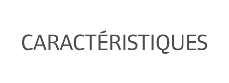 Caract ristiques 