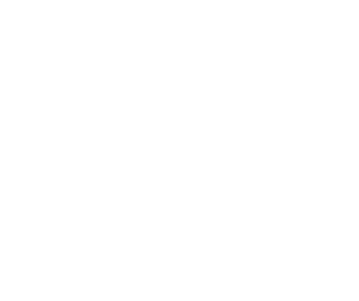 Embrace sustainable opportunities 