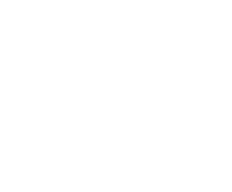 Our real-time tracking and remote monitoring system TracKing™ enables detection of temperature deviations and immedia...