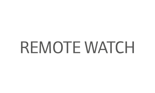 Remote watch