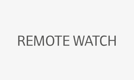 Remote watch