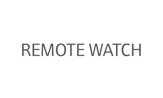 Remote watch