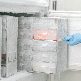 Keep isolated pathogen in ultra low temperature in the Laboratory freezer.