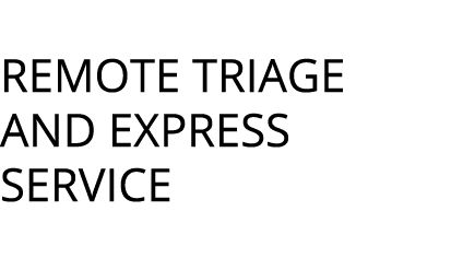 Remote triage and express service 