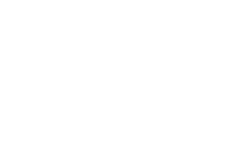 Blue Track services 
