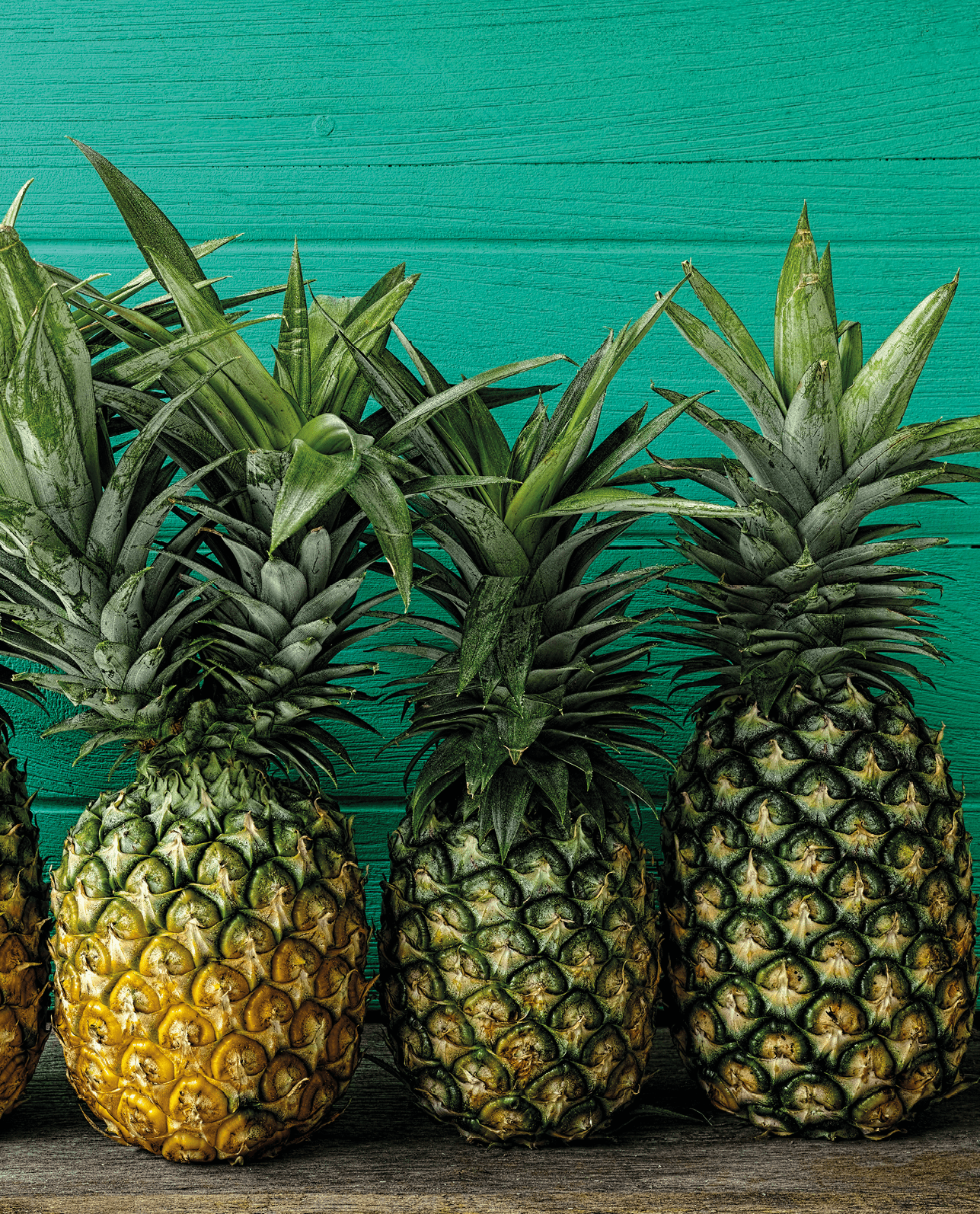 A fresh colorful two-headed tropical pineapple standing in the center of a row of other pineapples on a rustic wooden table against a turquoise wooden walled background. Some copy space above the fruit.