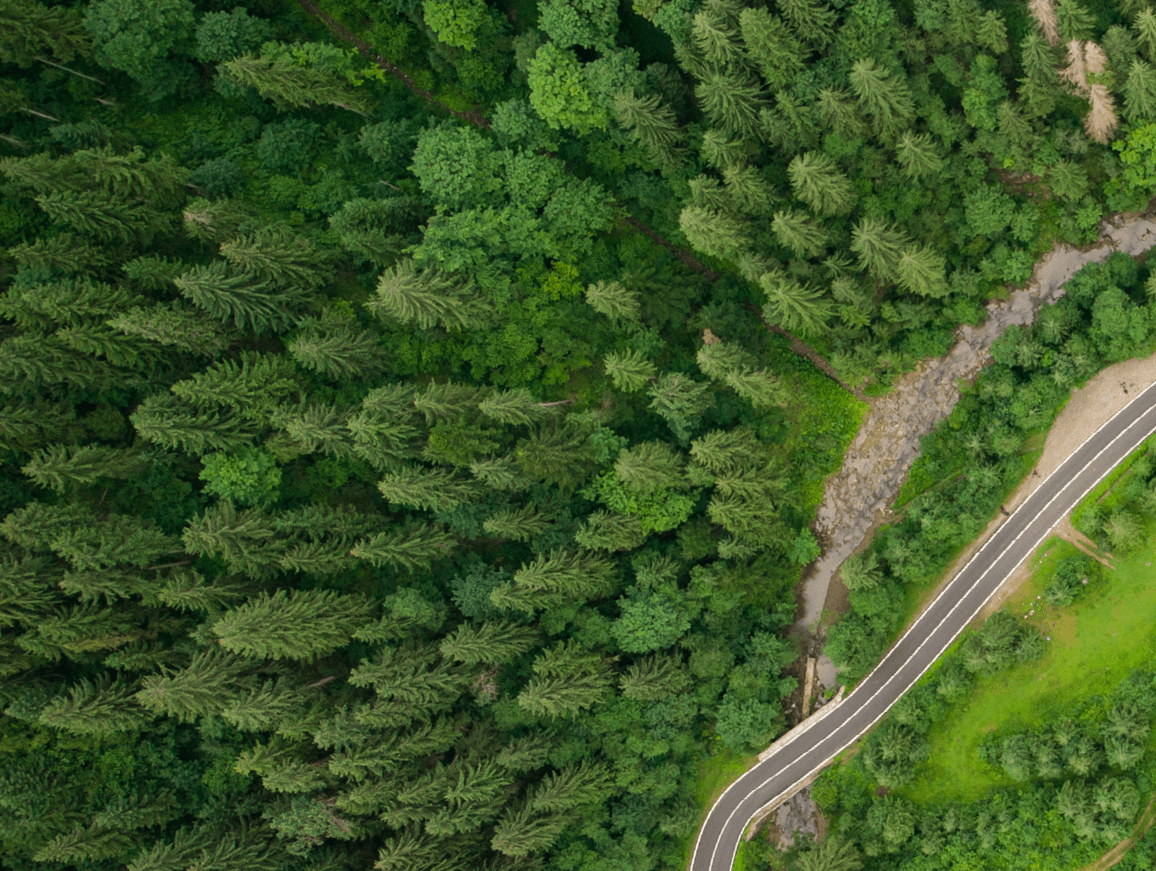 aerial top down view of a coniferous forest through which a winding road passes in the mountains