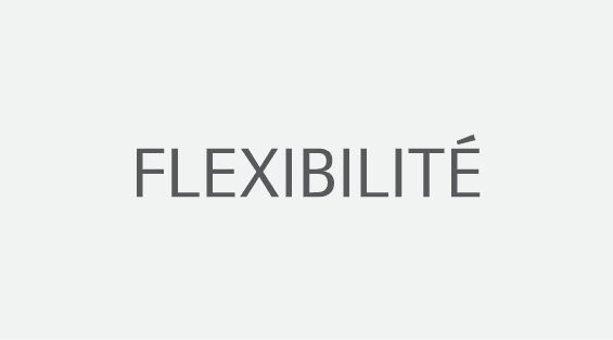 Flexibilit 