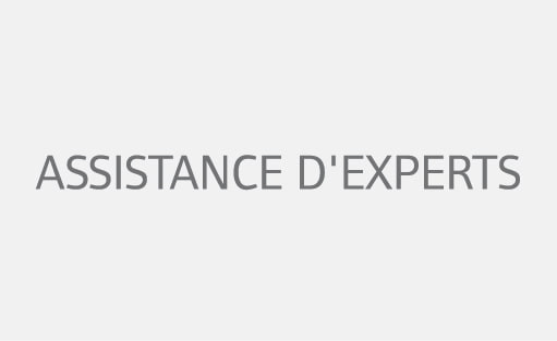 Assistance d'experts