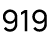 919