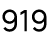 919
