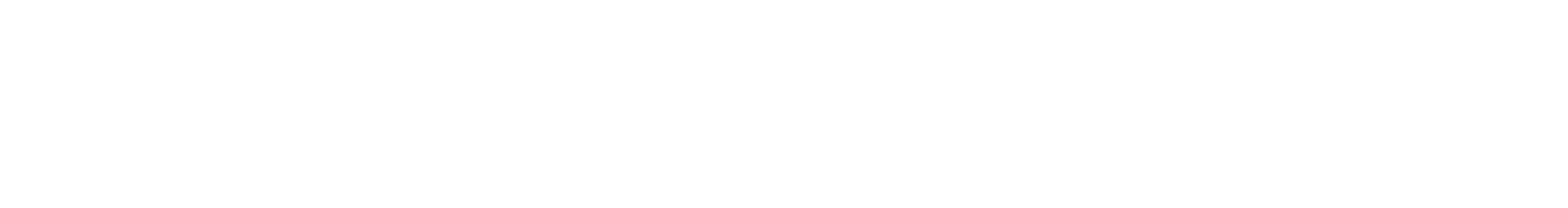 V 1000 