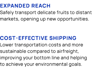 Expanded reach Safely transport delicate fruits to distant markets, opening up new opportunities. Cost effective ship...