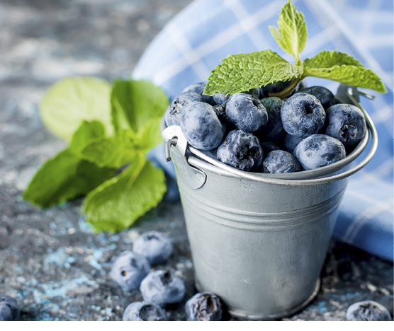 ripe blueberries in mini bucket with leaves mint on a dark concrete background 