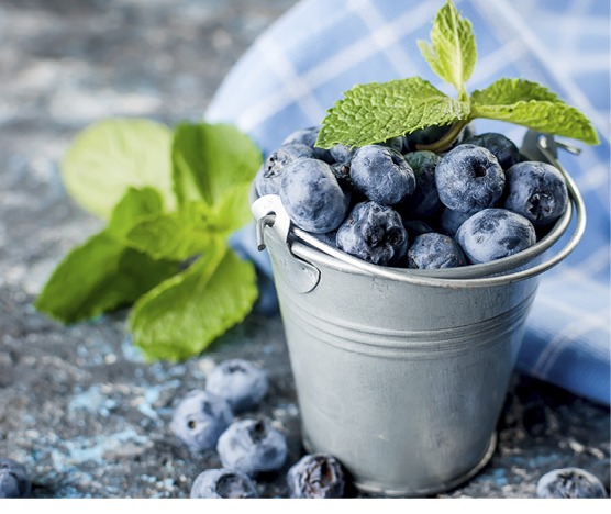 ripe blueberries in mini bucket with leaves mint on a dark concrete background 