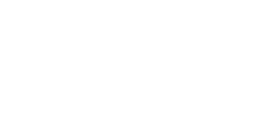  The added value 